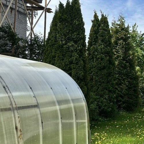 Коттедж/дом Кировец-1 садоводческий массив, Прометей СНТ, улица Березовая,  д. 180