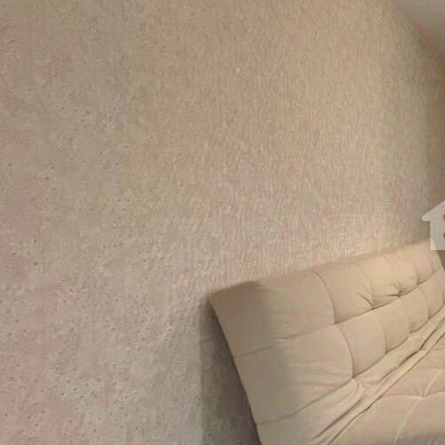 Студия Заневский проспект, 42