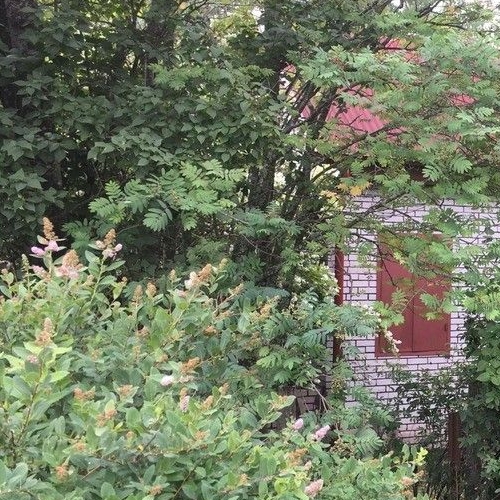 Коттедж/дом Будогощь пгт, улица Новая, 7