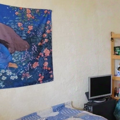 Студия пос. Поляны, шоссе Выборгское, 49к3