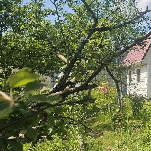 Коттедж/дом Красницы садоводческий массив, 5-я линия