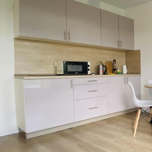 Студия д. Новое Девяткино, улица Главная, 10