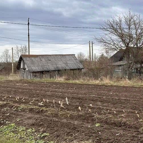 Коттедж/дом с. Шум, переулок Прокофьева, 1