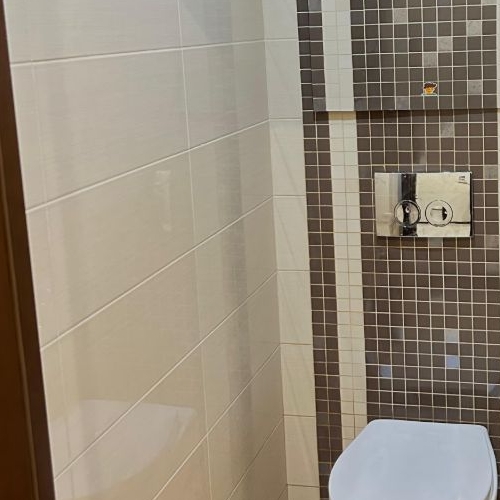 3-комн квартира Всеволожск, Василеозерская улица, 7