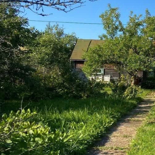 Коттедж/дом Пупышево садоводческий массив, Автомобилист СНТ, 7-я линия