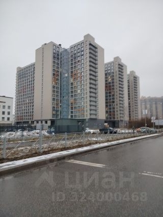 Студия пос. Парголово, проезд Толубеевский, 8к2