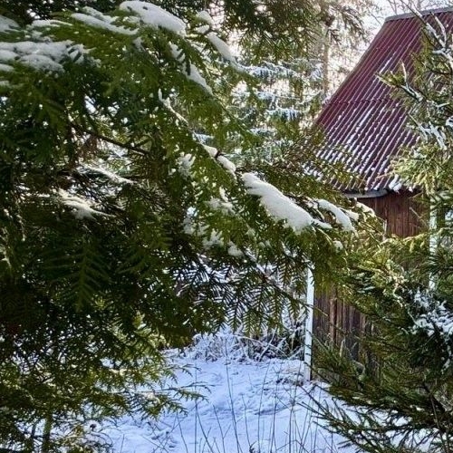 Коттедж/дом Мшинская садоводческий массив, Буревестник СНТ, улица Зеленая,  д. 16