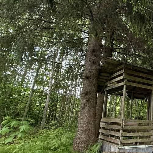 Коттедж/дом Пупышево садоводческий массив, Искра СНТ