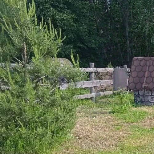 Коттедж/дом д. Клинково, улица Центральная, 7