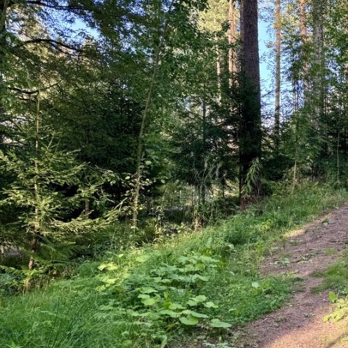 Коттедж/дом пос. Ленинское, Спутник СНТ