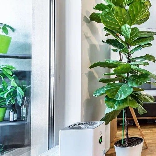 1-комн квартира улица Жукова, 3