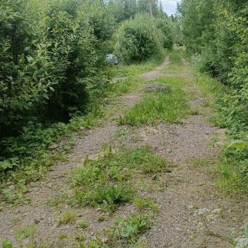 Коттедж/дом Пупышево садоводческий массив, Фрегат СНТ, улица Строителей, 532