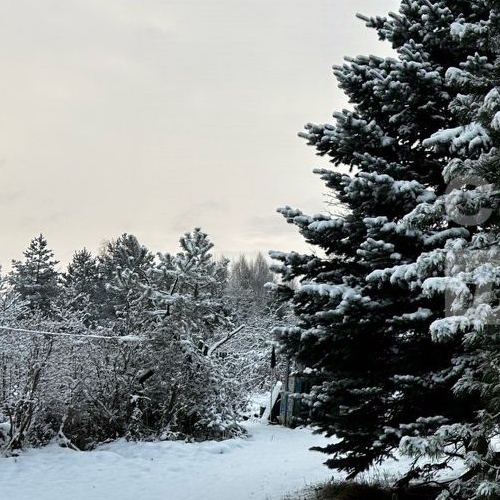 Земельный участок Ульяновка пгт, улица Железнодорожная