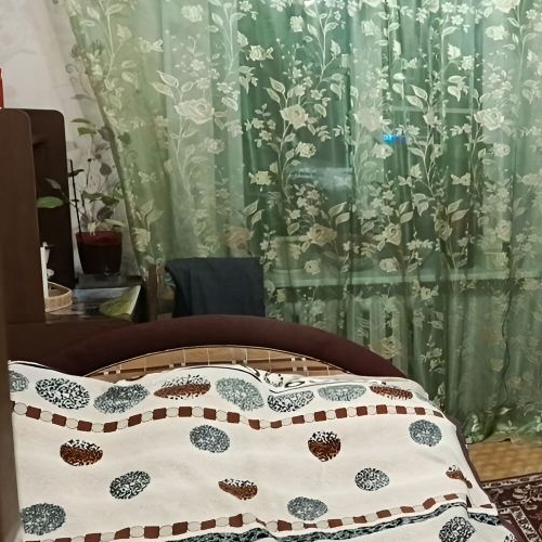 3-комн квартира пос. Шушары, Детскосельский тер., шоссе Колпинское, 10