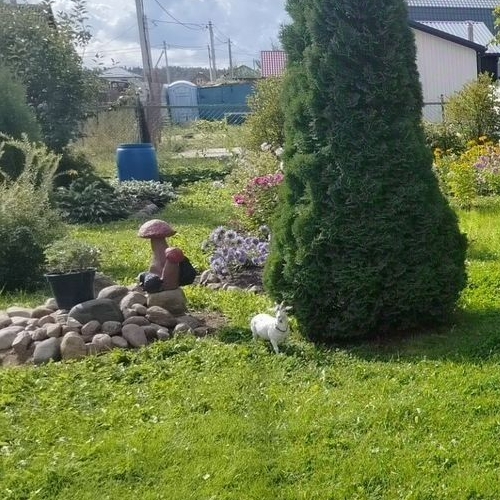 Коттедж/дом Лесное кп, Сосновый Бор