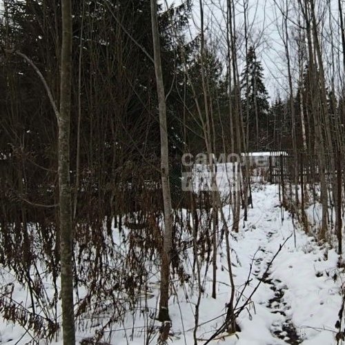 Земельный участок Рубеж массив, Олень СНТ, 1-я линия,  д. 5