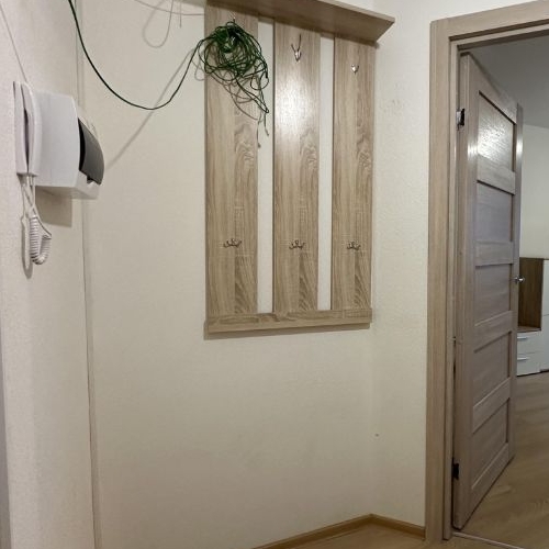 1-комн квартира Мурино, улица Шоссе в Лаврики, 57к3