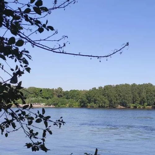 Земельный участок Усть-Славянка тер., улица Заводская