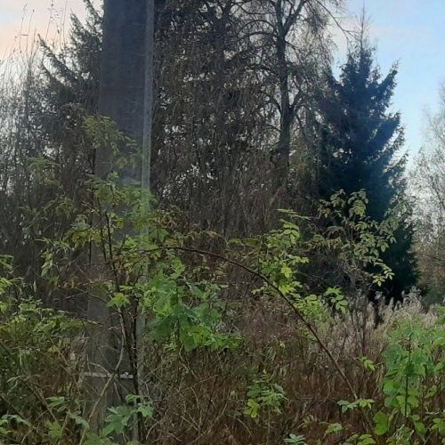 Земельный участок пос. Серово, дорога Линдуловская, 23