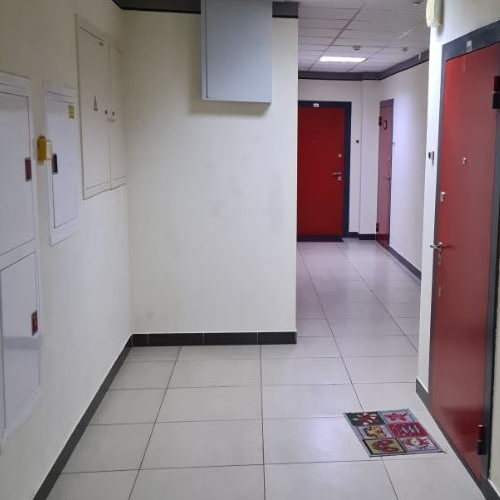 Студия Кудрово г., улица Английская, 1