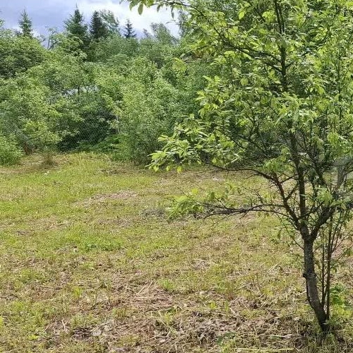 Коттедж/дом Посадников остров садоводческий массив, Скороход-2 СНТ, 2-я линия, 71