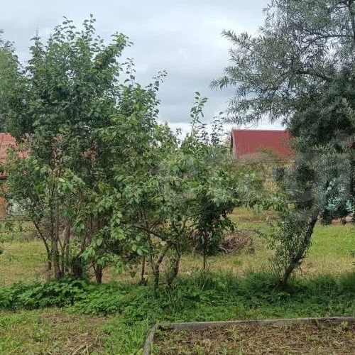 Коттедж/дом Тюльпан-1 СНТ, улица 2-я