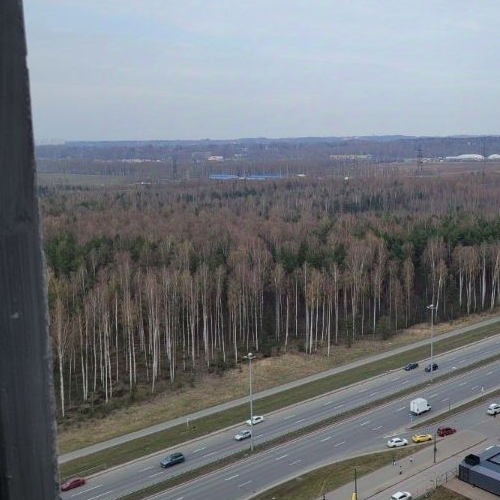 Студия шоссе Суздальское, 30к2