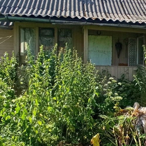 Коттедж/дом д. Милодеж, улица Центральная, 47