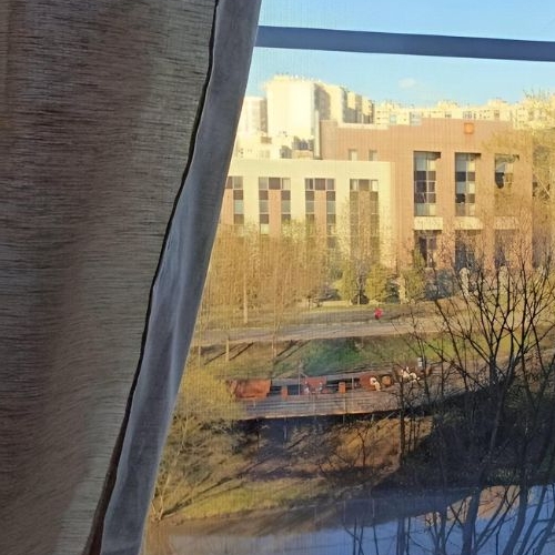 Комната Заневский проспект, 34к1