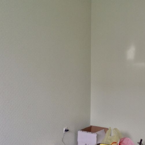 2-комн квартира Пушкин, Саперная улица, 55к2с6