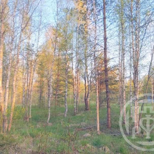 Земельный участок Правдино пос.