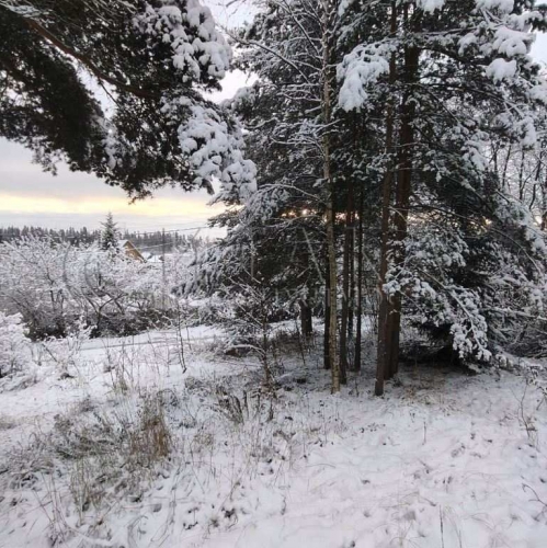 Земельный участок Бригадное, Бригадное п.