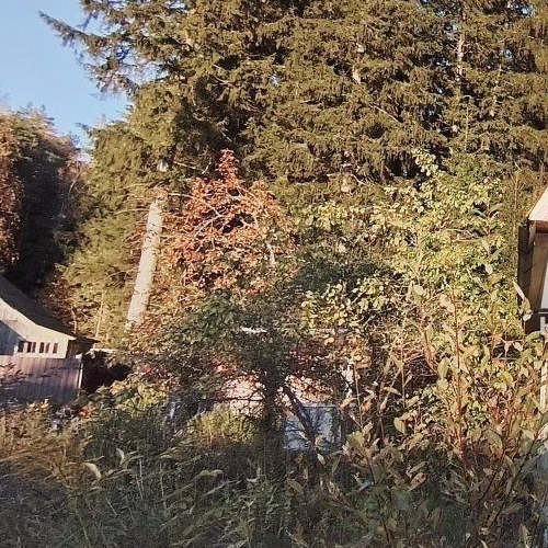 Коттедж/дом Выборг, Ручьи СНТ, тупик 1-й Оливковый, 6