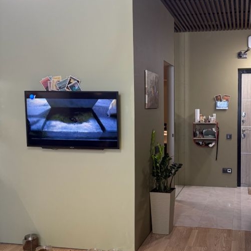 2-комн квартира набережная Дудергофского канала, 4к1