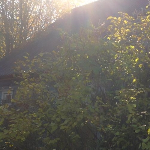 Земельный участок д. Ефремково, 53