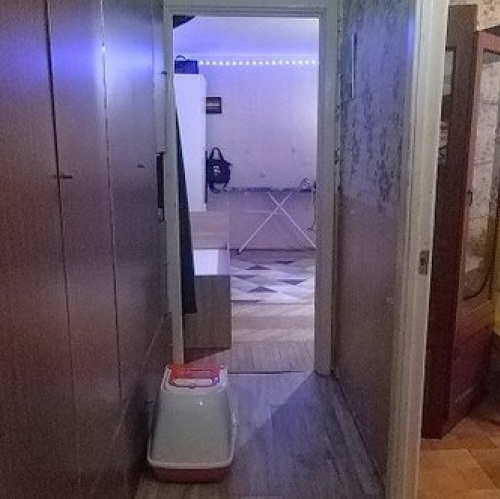 2-комн квартира Купчинская ул,  д. 16 к1