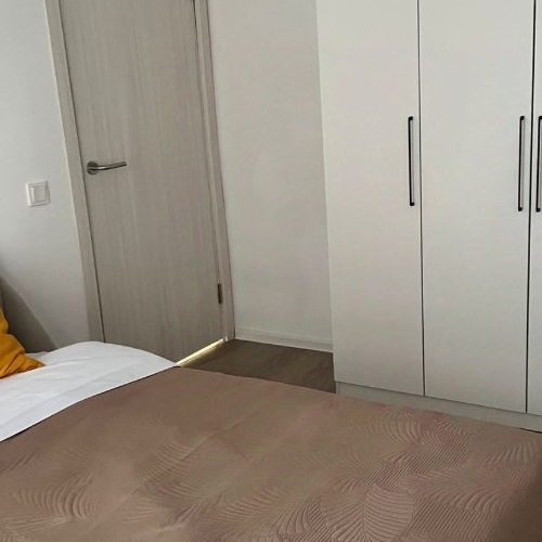 1-комн квартира д. Новое Девяткино, улица Главная, 10