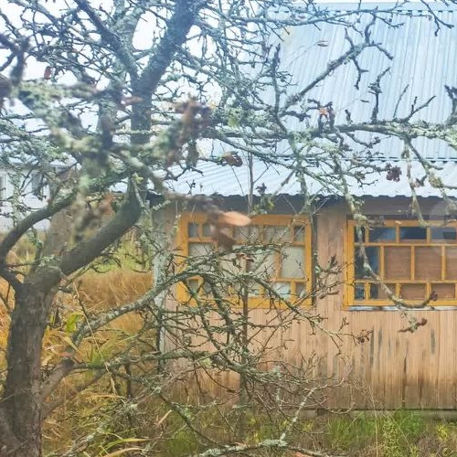 Коттедж/дом Посадников остров садоводческий массив, Жилищник СНТ, 13-я линия, 190