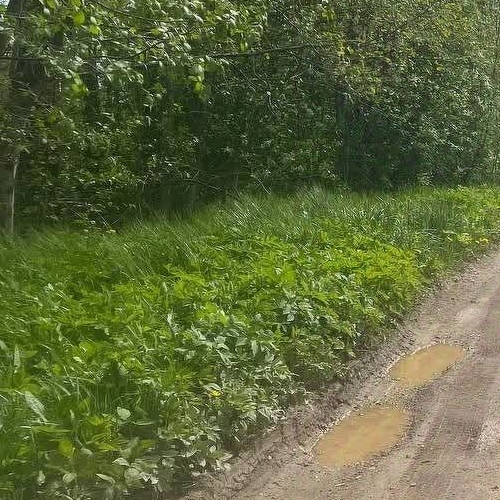 Коттедж/дом Посадников остров садоводческий массив, Дружба-3 СНТ, 21-я линия