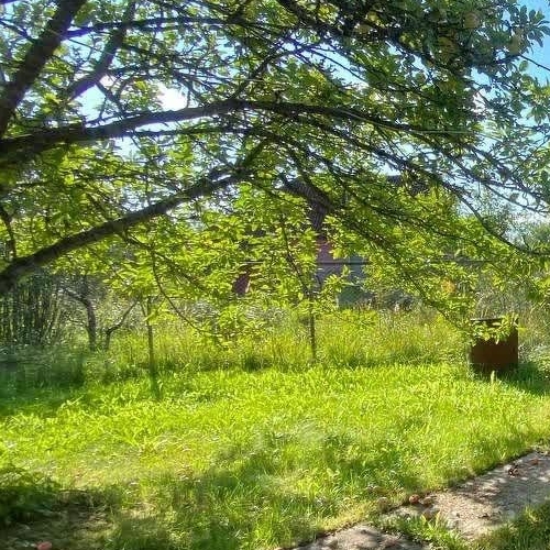 Коттедж/дом Пупышево садоводческий массив, Автомобилист СНТ, 7-я линия