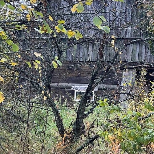 Коттедж/дом Рябово городской поселок