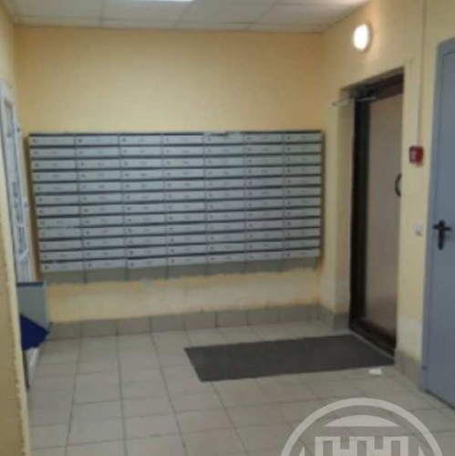 Студия Металлострой пос., Полевая ул. ,  д. 9