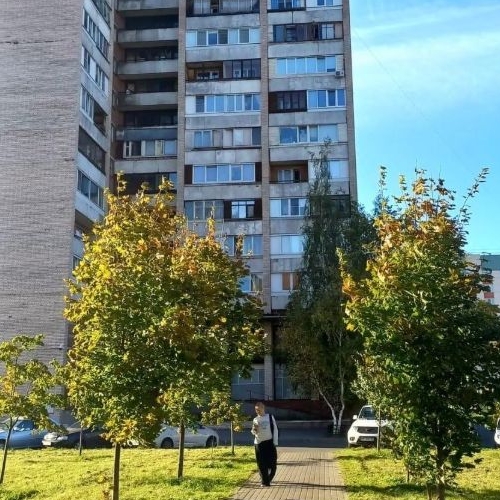 Комната улица Ольги Форш, 7К2