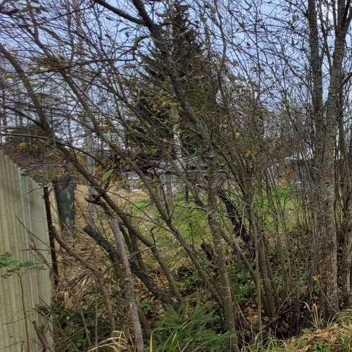 Коттедж/дом Мшинская садоводческий массив, НПО ВНИИМ имени Д.И. Менделеева СНТ, проспект Малый