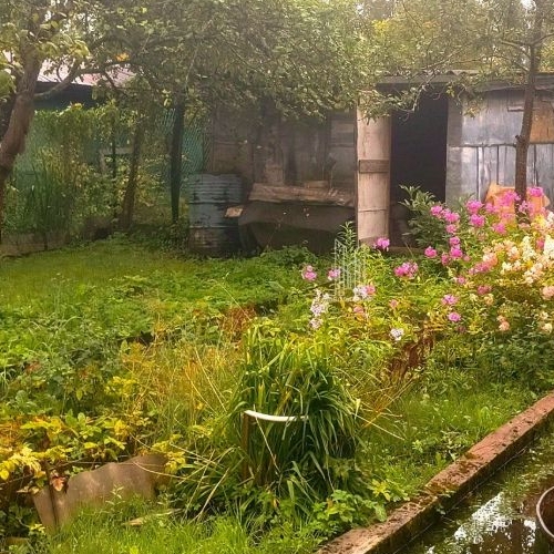 Коттедж/дом Мшинская садоводческий массив, Озон СНТ, улица Центральная