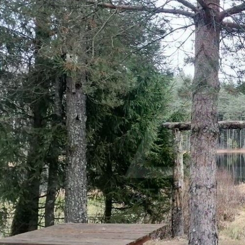 Земельный участок Алмаз СНТ, улица Бирюзовая