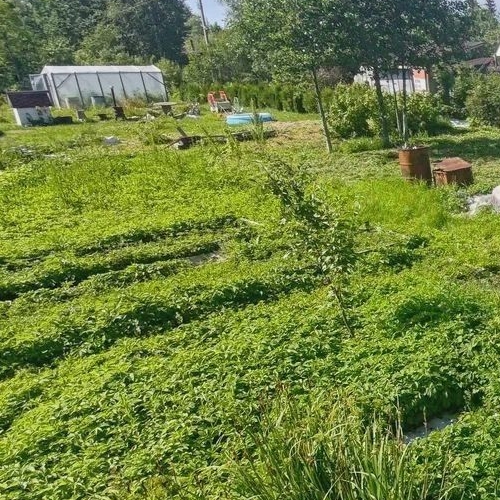 Коттедж/дом Пупышево садоводческий массив, Связист СНТ, 9-я линия, 282