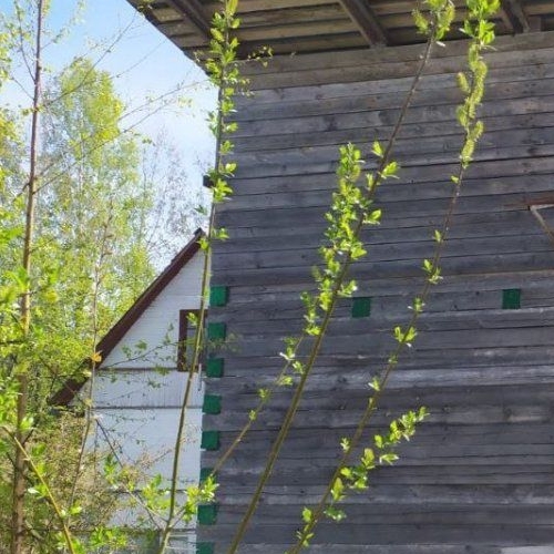 Коттедж/дом Новожилово массив, Орехово СНТ