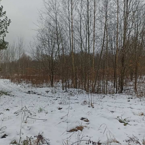 Земельный участок Старая Середка дер.