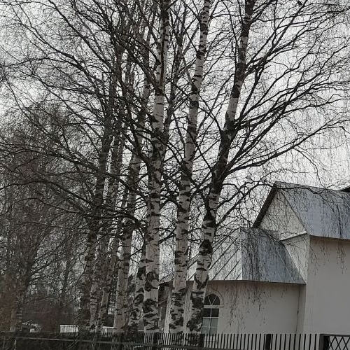 Земельный участок Вознесенье городской поселок, переулок Энергетиков